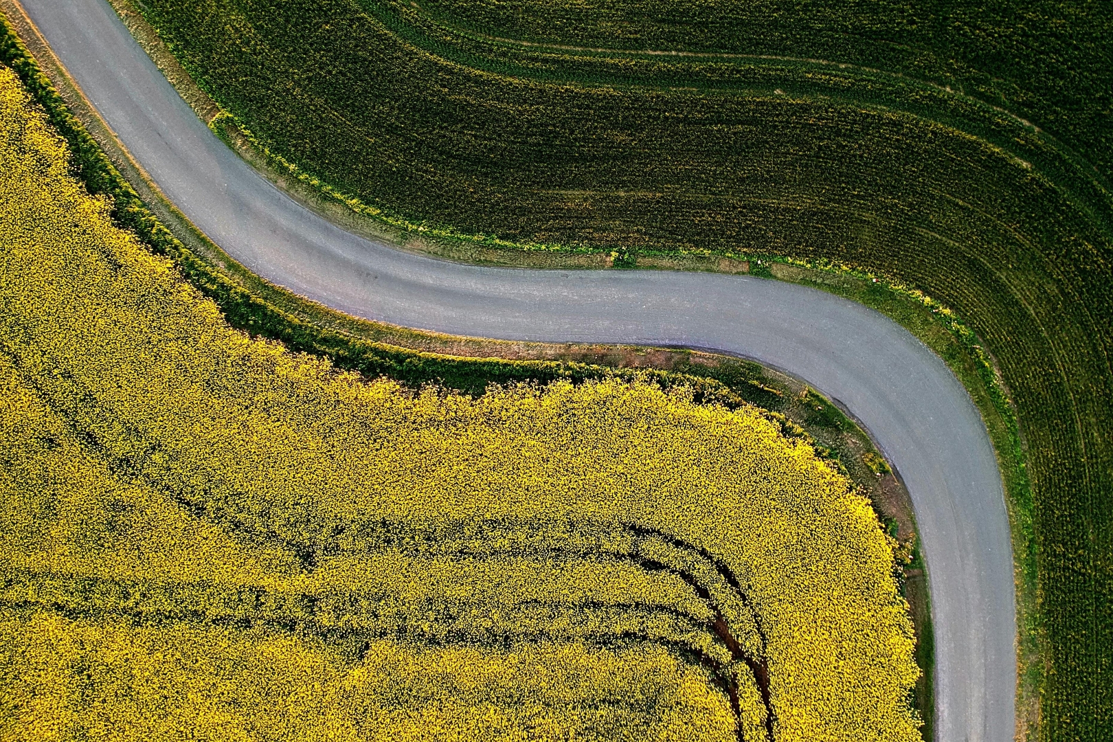 La compensation collective agricole : un levier de financement de la transition agricole et alimentaire ?