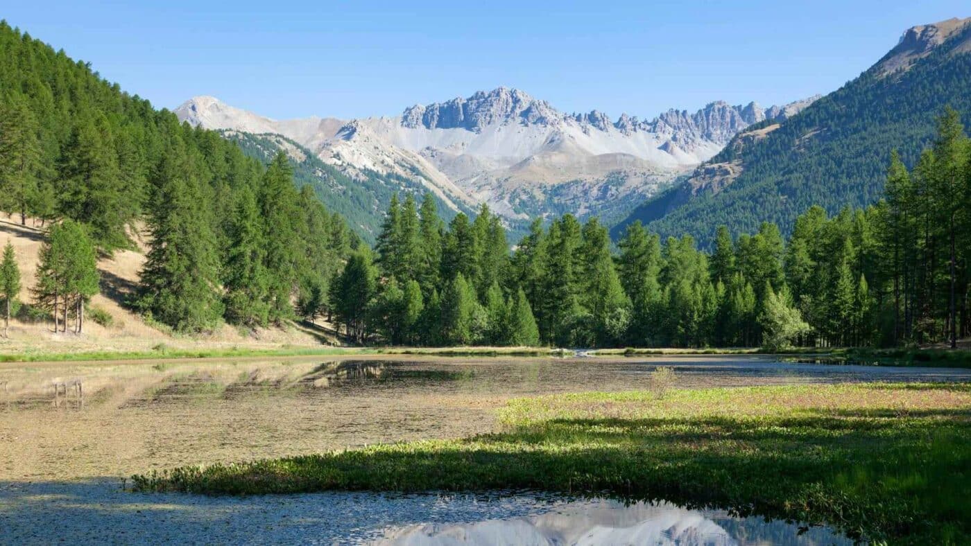 image article bilan politique environnementale france ocde