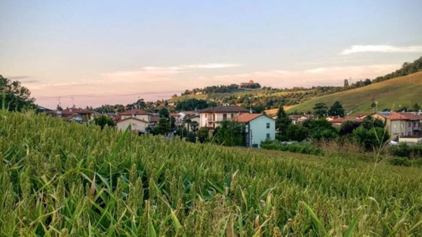 image article autosuffisance alimentaire villes
