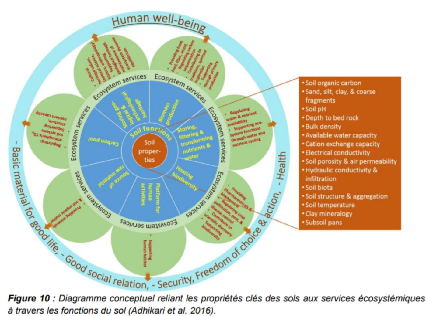 image article etude record services ecosystemiques milieux restaures image