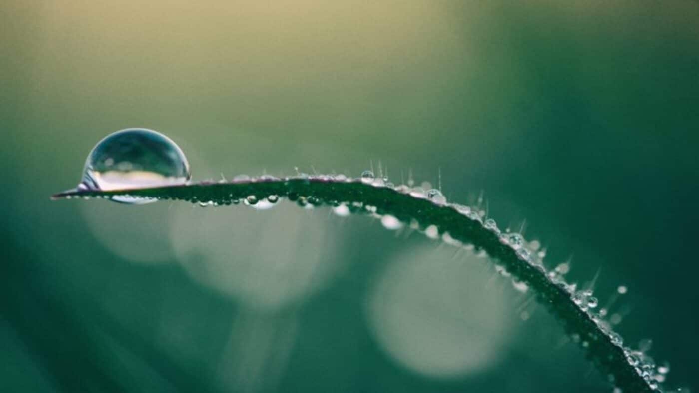 image article optimiser consommation eau preserver planete