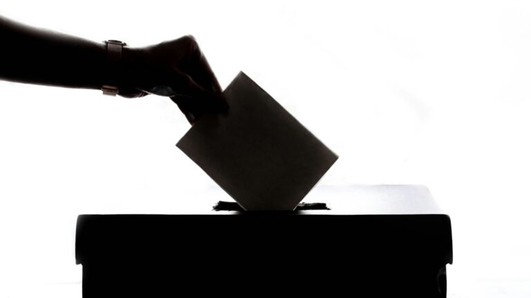 image article decryptage elections professionnelles agricoles 2025